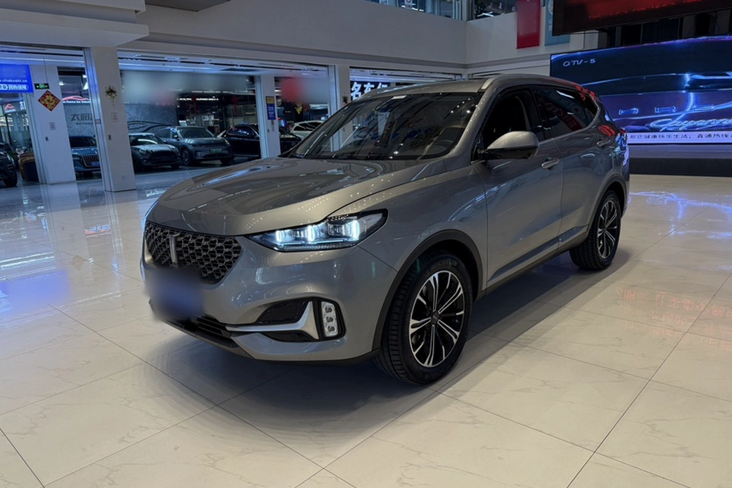 Wei brand VV6 2021 2.0T two-wheel drive smart enjoy+