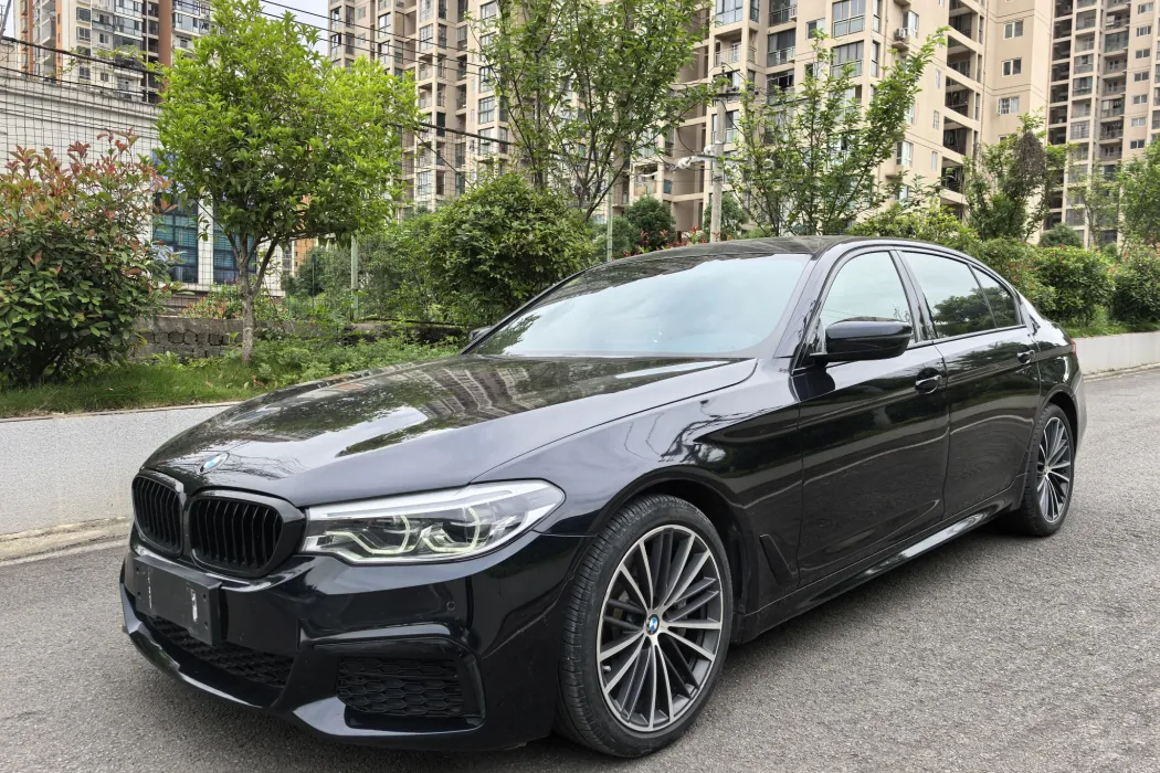 BMW 5 Series 2020 530Li Leader M Sport Package