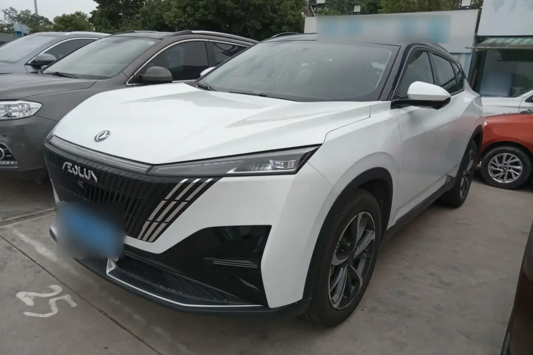 Dongfeng Fengshen Haohan 2023 1.5T Deluxe Edition