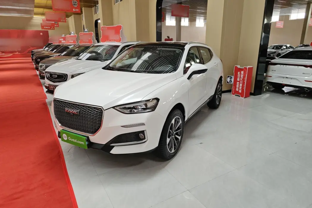 Haval F5 2019 National Tide Edition 1.5T i Tide National VI