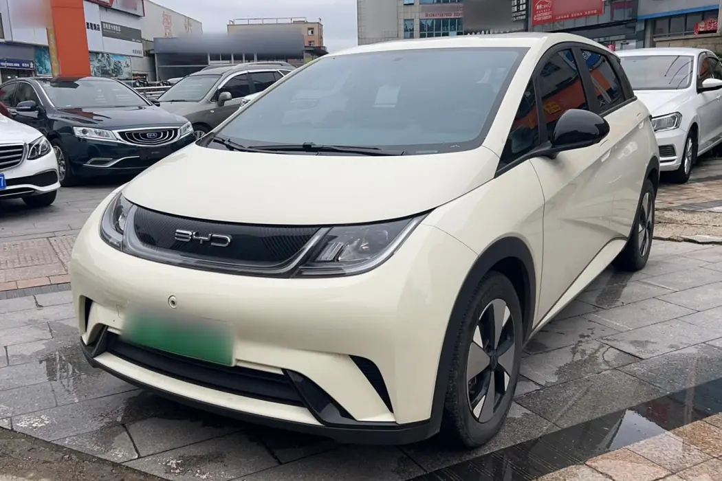BYD Dolphin 2023 420km Free Version