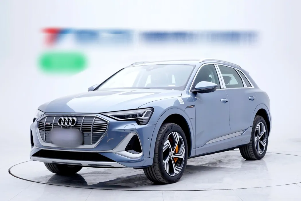 Audi e-tron 2021 50 quattro Pegasus