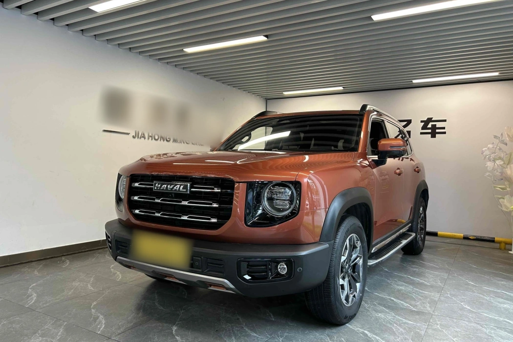 Havoc Big Dog 2021 2.0T DCT 4WD Chinese Garden Dog Edition