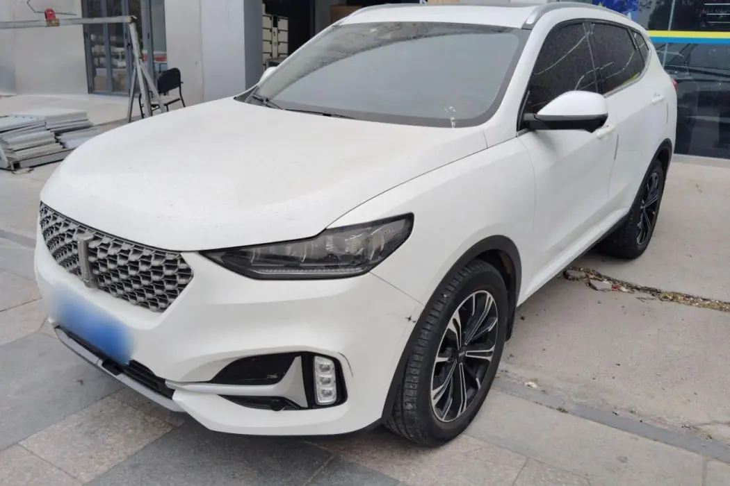Wei brand VV6 2021 2.0T two-wheel drive smart protection+