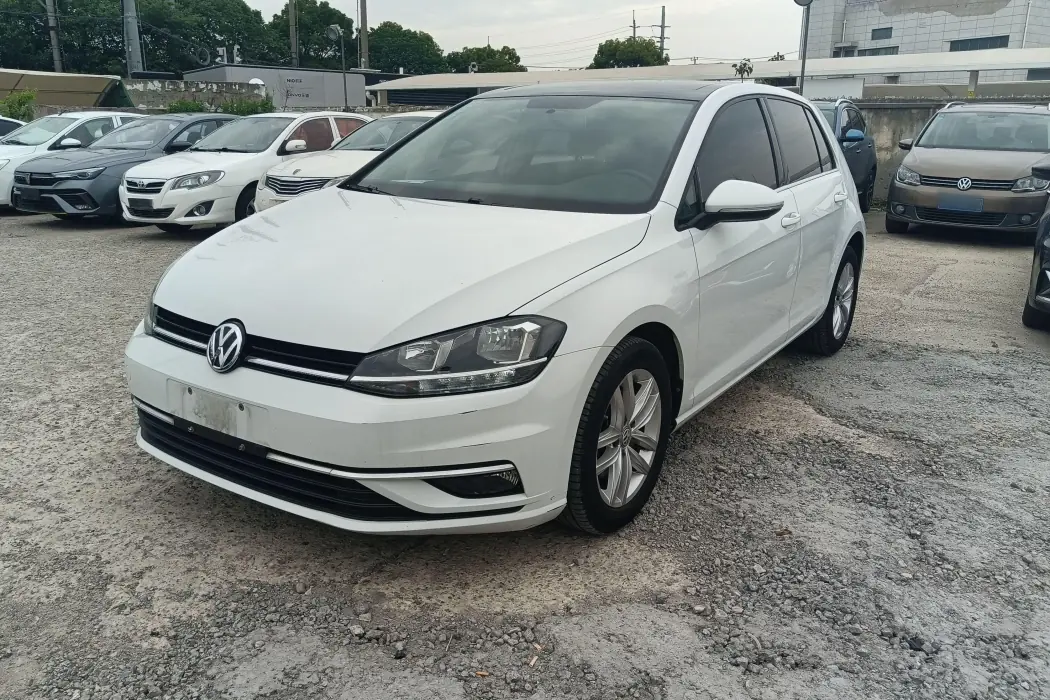 Volkswagen Golf 2019 1.6L automatic comfort type Country V