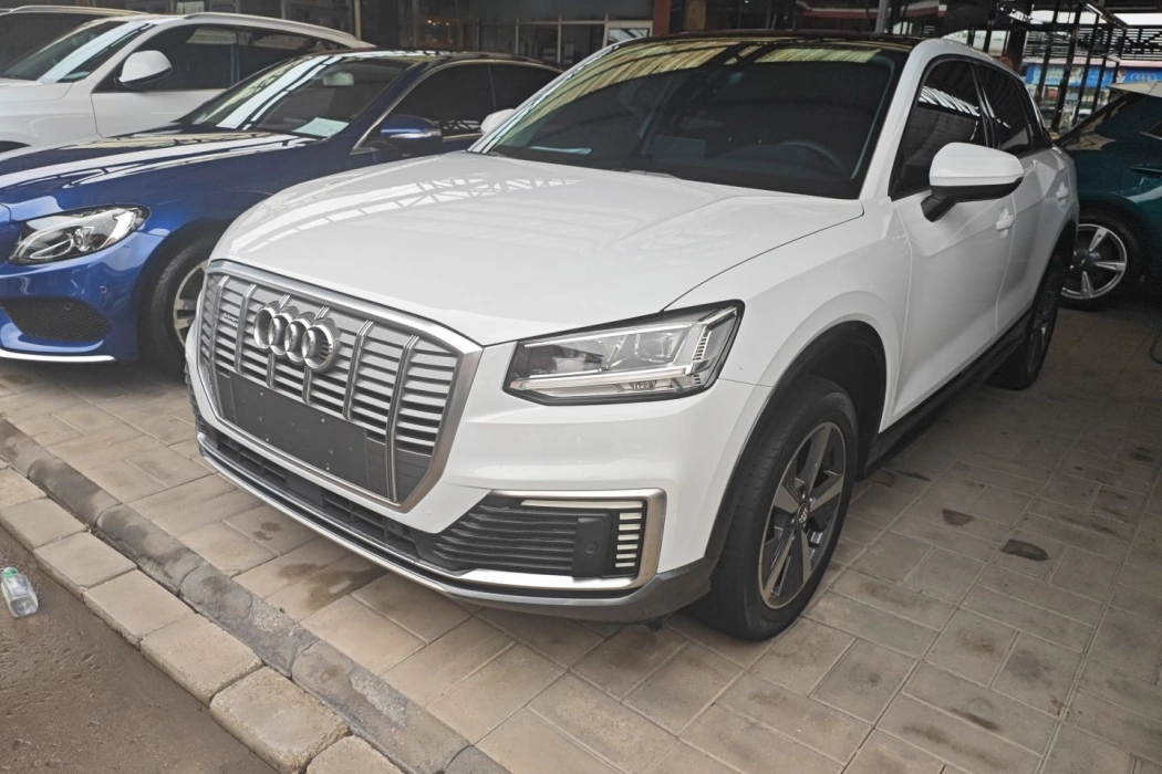 Audi Q2L e-tron 2019 Q2L e-tron pure electric smart enjoyment type