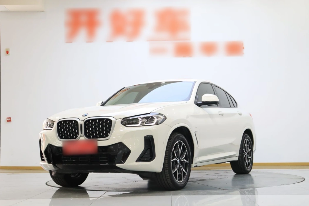 BMW X4 2022 xDrive 25i M Sport Package