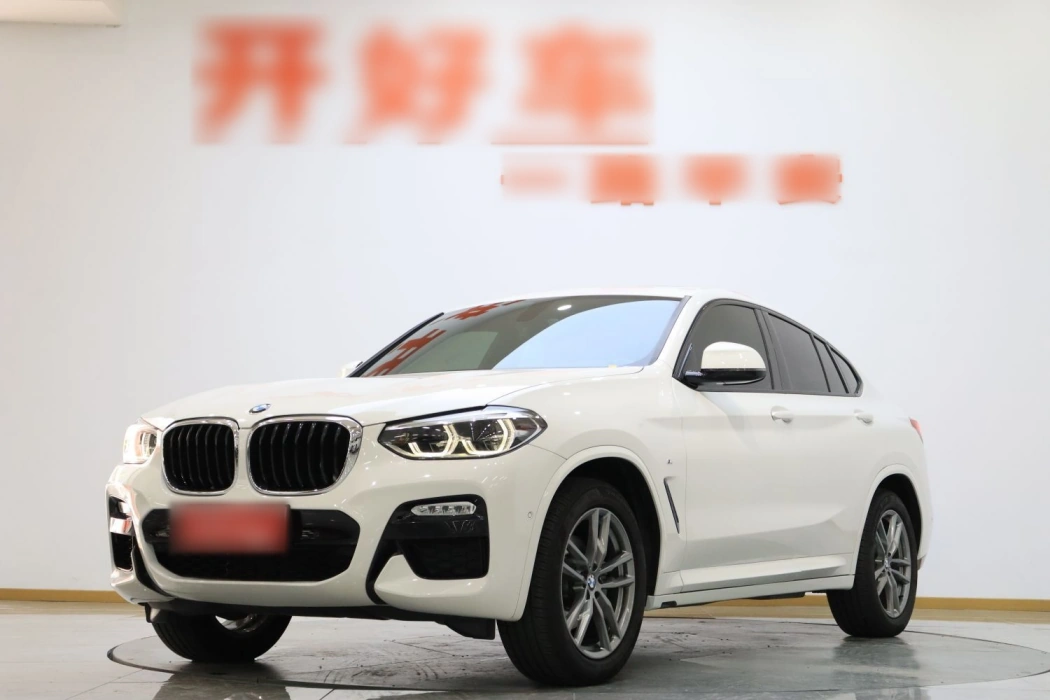 BMW X4 2019 xDrive25i M Sport Package