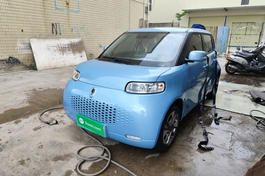 Euler White Cat 2022 upgraded version of 305km luxury ternary lithium