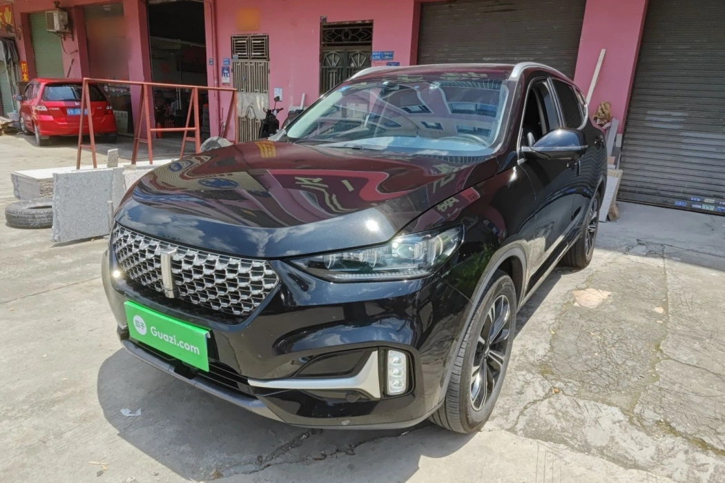 Wei brand VV6 2021 2.0T two-wheel drive smart protection+