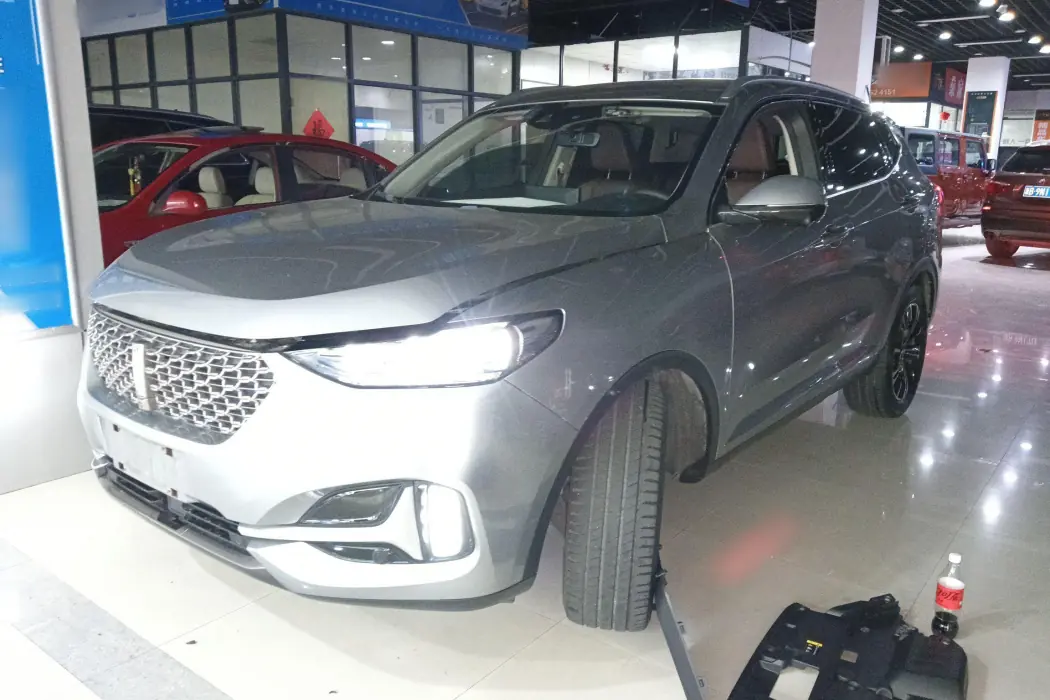Wei brand VV6 2021 2.0T two-wheel drive smart protection+