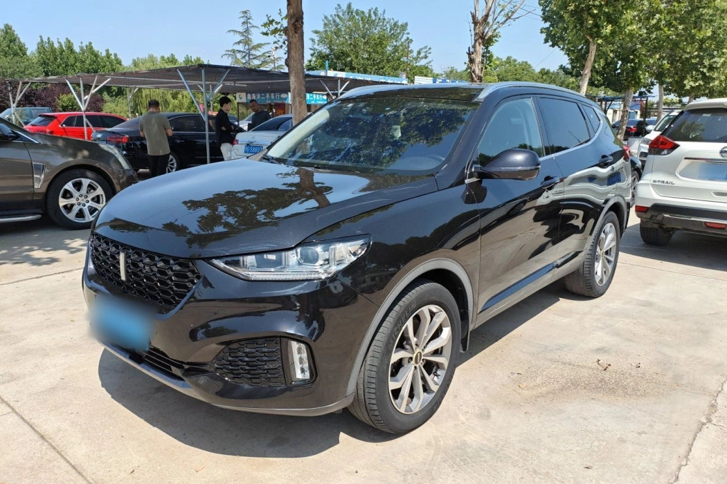 Wei brand VV6 2018 2.0T two-wheel drive super luxury national V