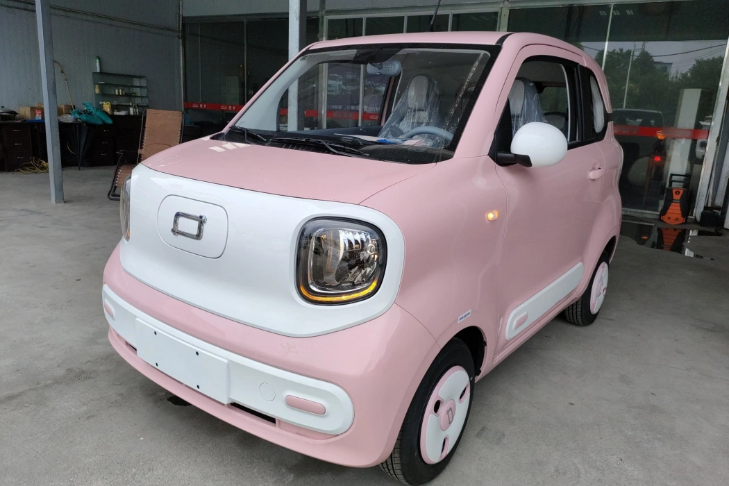 Pentium Pony 2025 222km Smart Horse