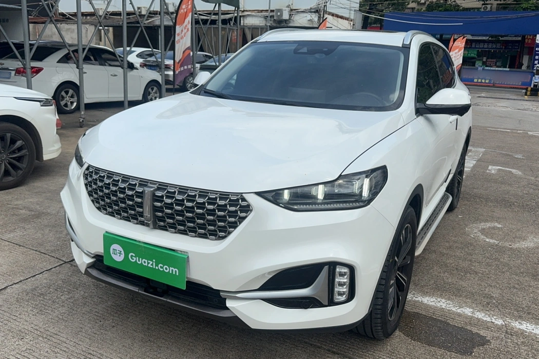 Wei brand VV6 2021 2.0T two-wheel drive smart enjoy+