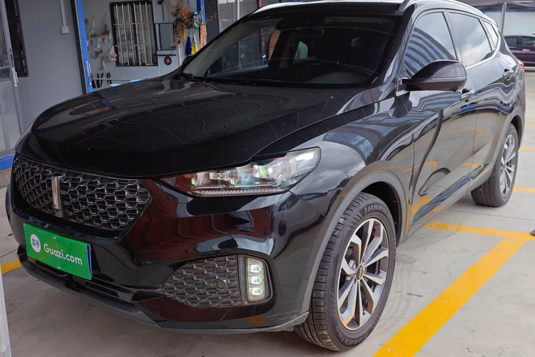 Wei brand VV6 2020 2.0T two-wheel drive smart enjoy+