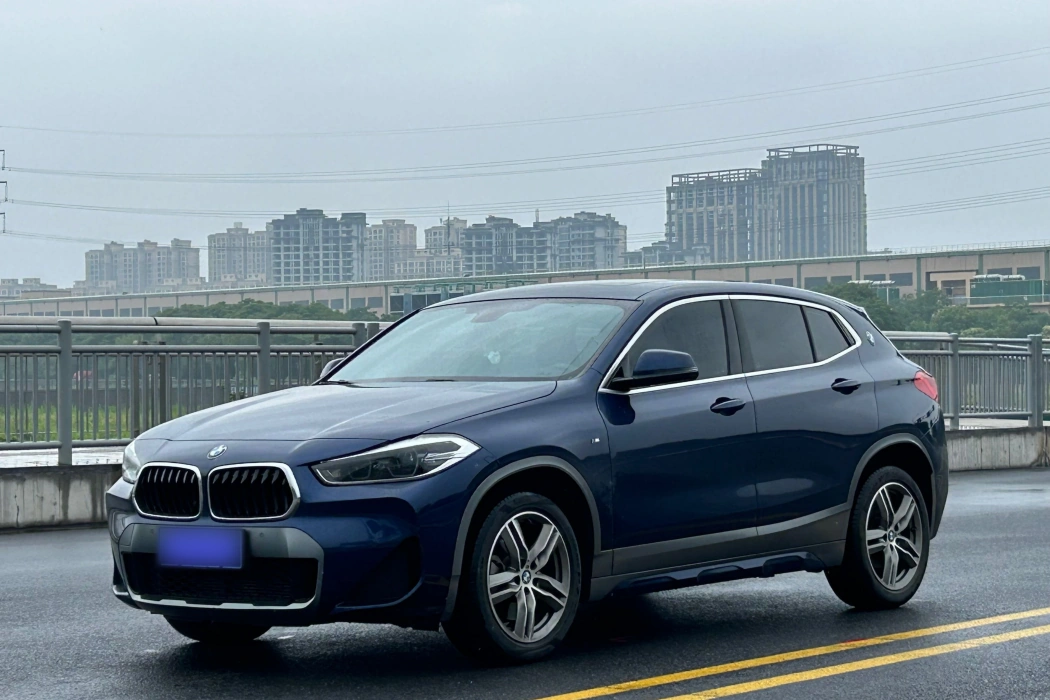BMW X2 2020 sDrive25i Lead M Off-Road Package