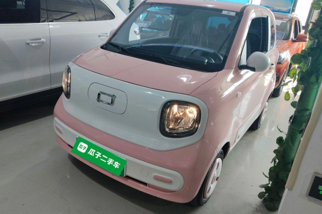 Pentium Pony 2025 222km Smart Horse