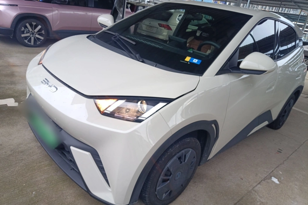 BYD Seagull 2025 305km Vitality Edition