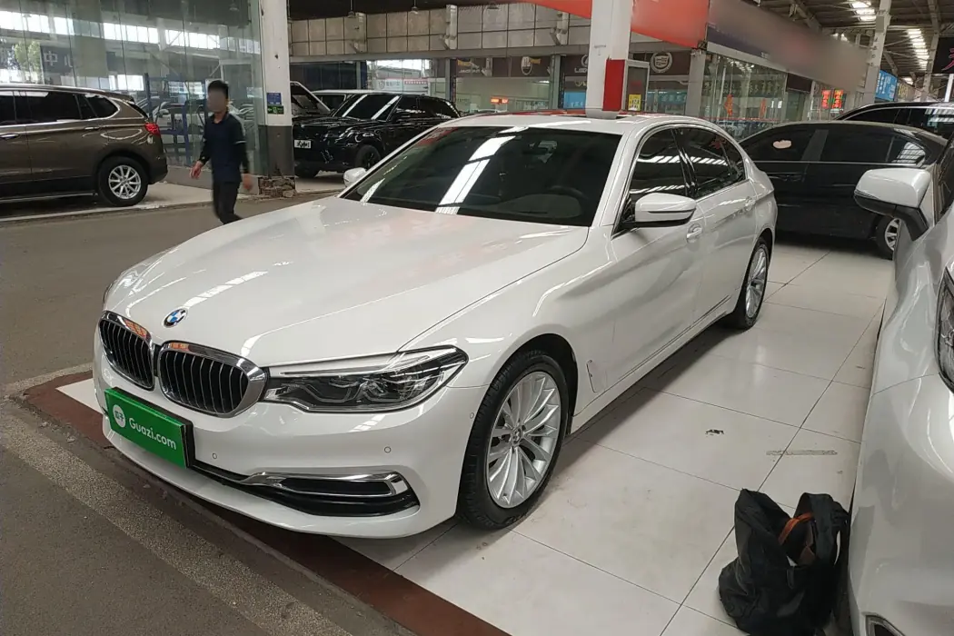 BMW 5 Series 2020 530Li Premium Luxury Package