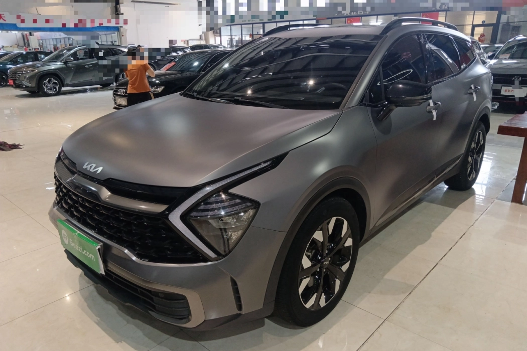 KIA Lion Platinum Extension 2023 2.0T Two-wheel drive Ultimate Edition