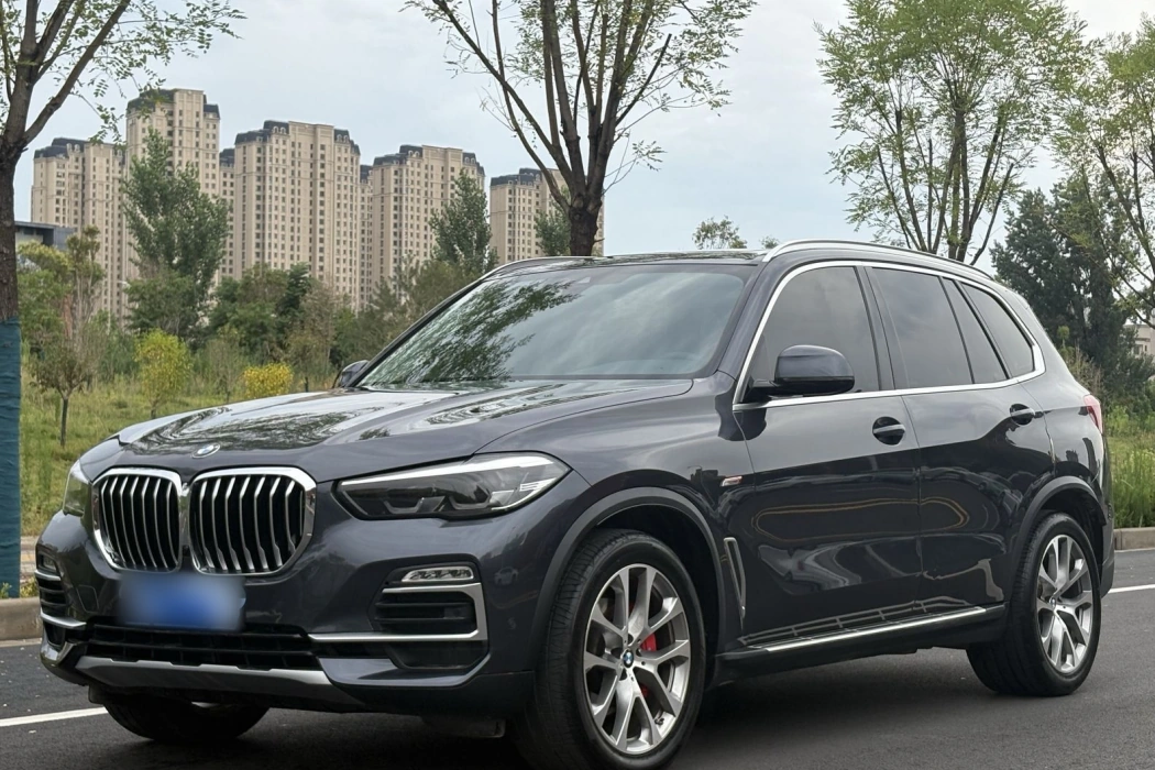BMW X5 (Import) 2020 xDrive30i X Design Package