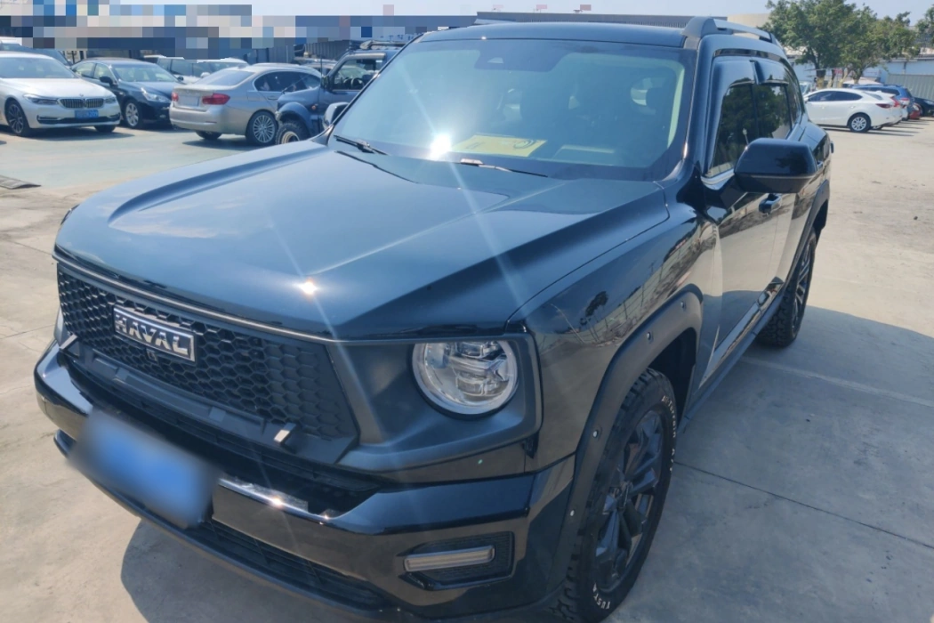 Havoc II Big Dog 2023 2.0T 4WD Tide Wild Plus