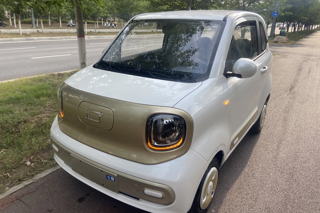 Pentium Pony 2025 222km Smart Horse