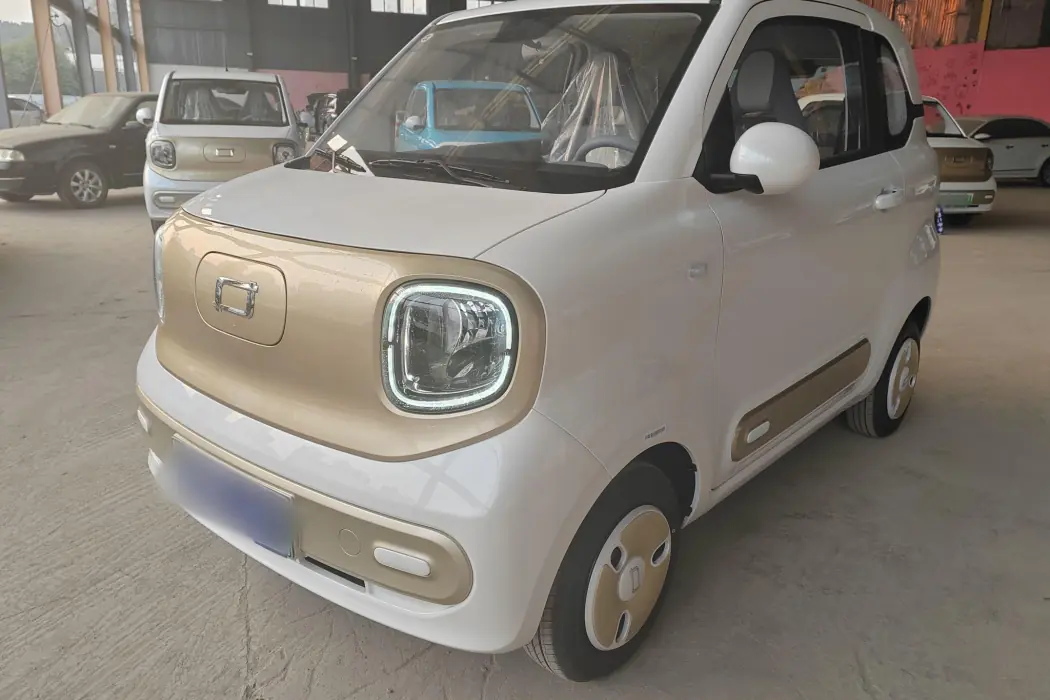 Pentium Pony 2025 222km Smart Horse