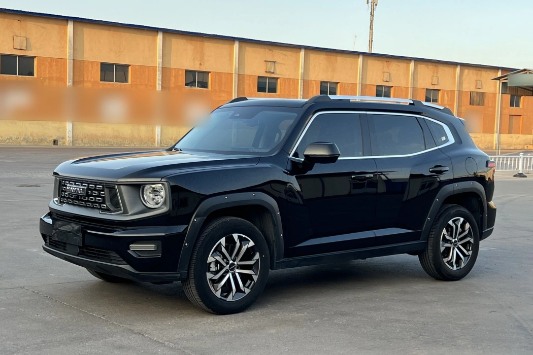 Havoc II Big Dog 2023 1.5T 2WD Tide Wild Plus