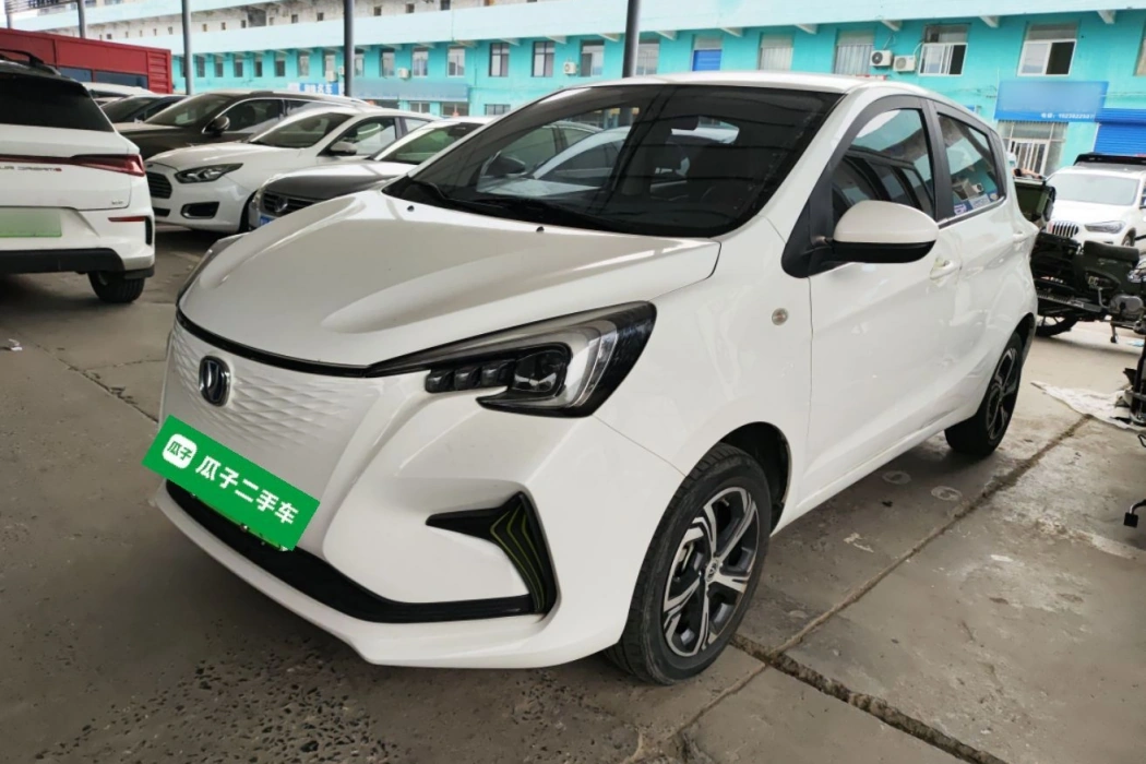 Changan Auchan Benben E-Star 2022 Qingxin Edition Colorful Lithium Iron Phosphate