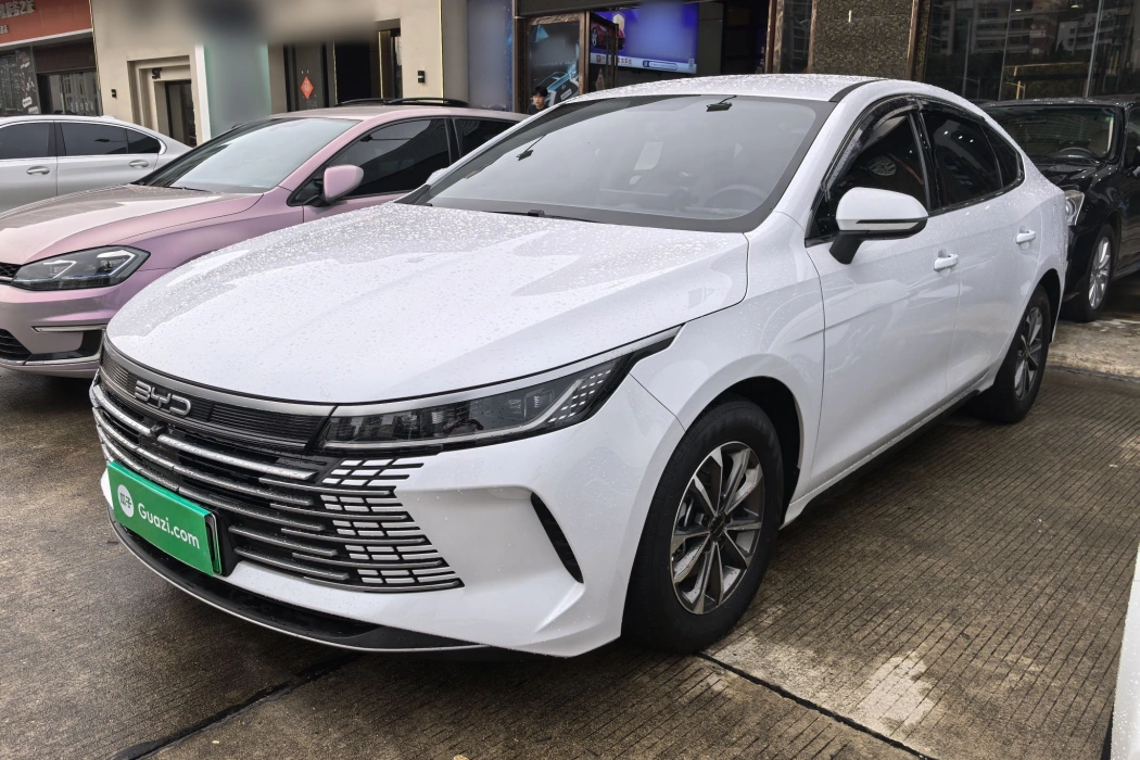 BYD Destroyer 05 2024 Glory Edition DM-i 55KM Luxury