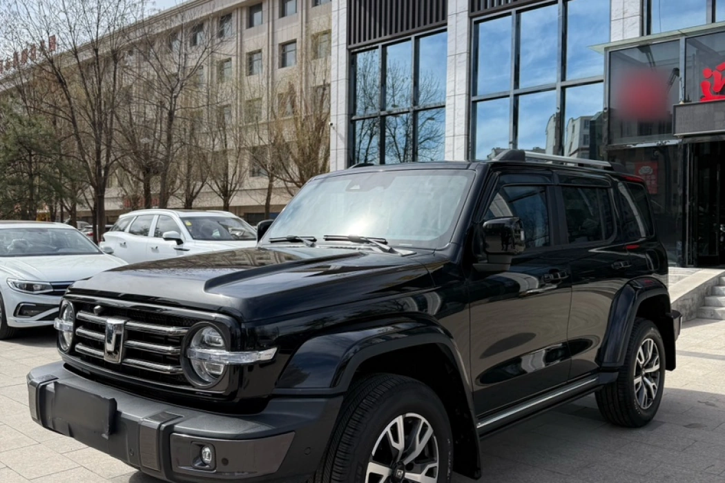 Tank 300 2021 City 2.0T Very Sleek