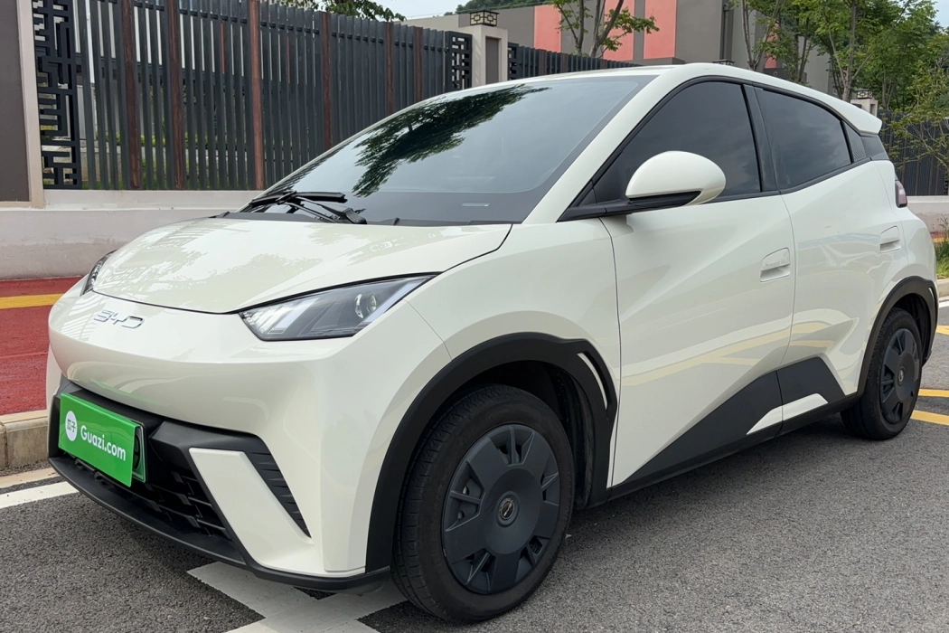BYD Seagull 2023 Vitality Edition