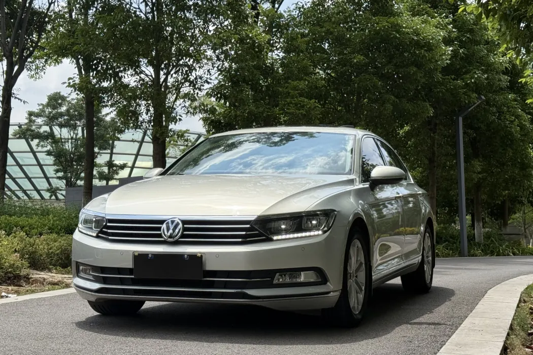 Volkswagen Magotan 2019 330TSI DSG luxury Country V