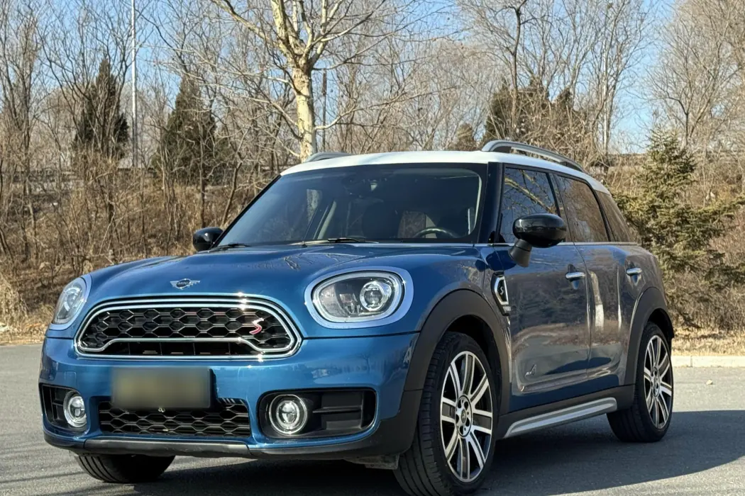 MINI COUNTRYMAN 2019 model 2.0 T COOPER S ALL4 artist