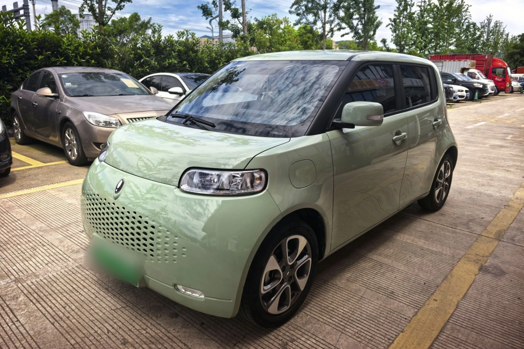 Euler White Cat 2022 upgraded version 305km Comfortable Ternary Lithium