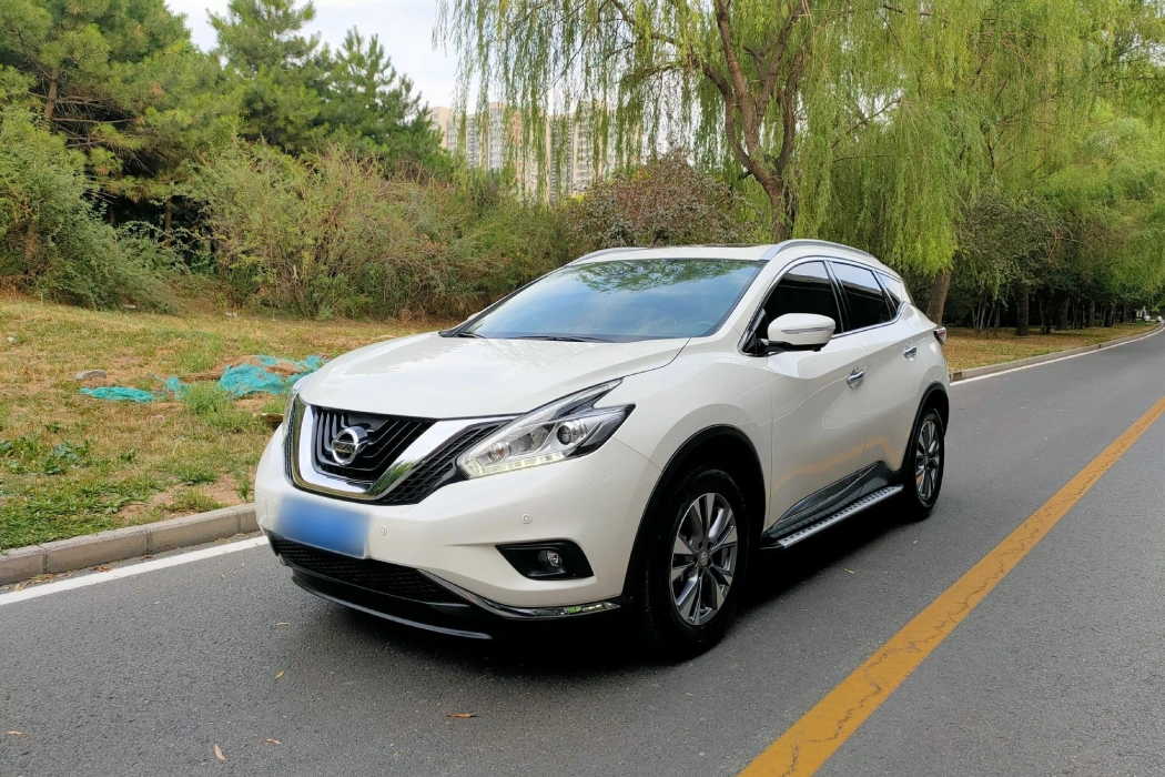 Nissan Loulan 2021 2.5L XL Two-wheel drive Zhilian Deluxe Edition
