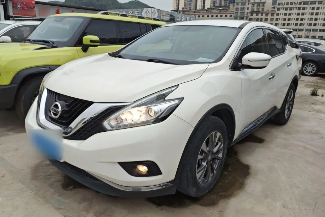 Nissan Loulan 2019 2.5L XE two-wheel drive Elite Edition Country VI