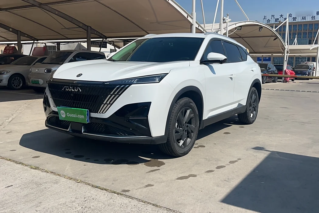 Dongfeng Fengshen Haohan 2025 1.5T Luxury