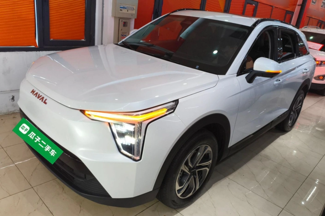 Haval Xiaolong 2023 1.5L 110KM Leading Version