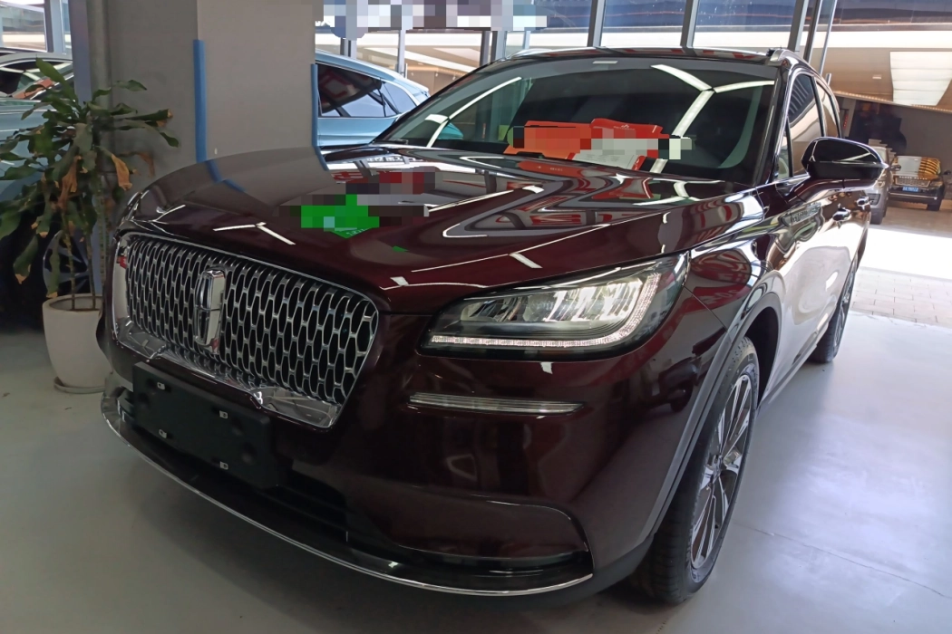 Lincoln Adventurer 2022 2.0T Two-wheel drive Zunya Edition