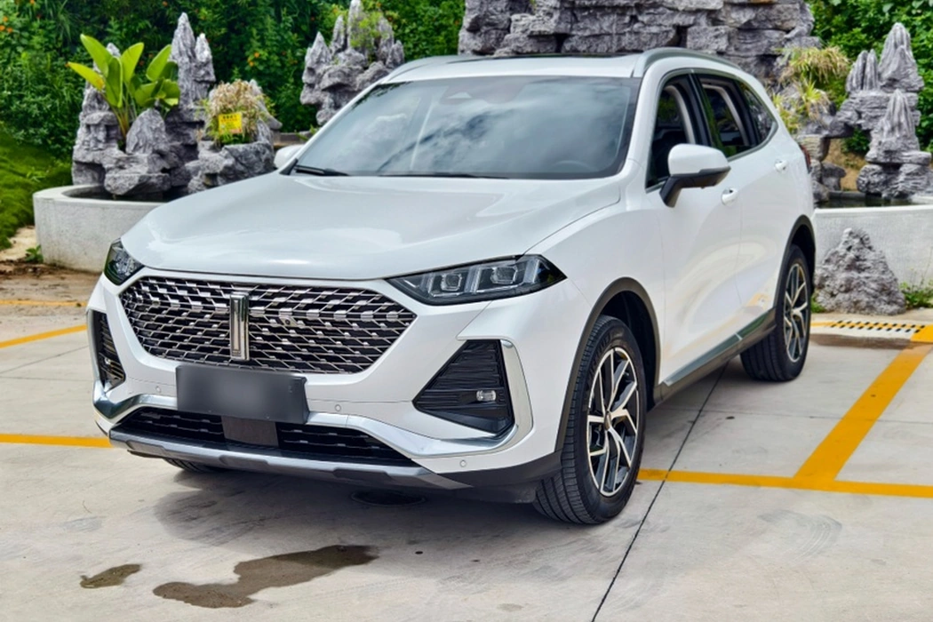 Wei brand latte DHT-PHEV 2022 1.5T two-wheel drive large cup