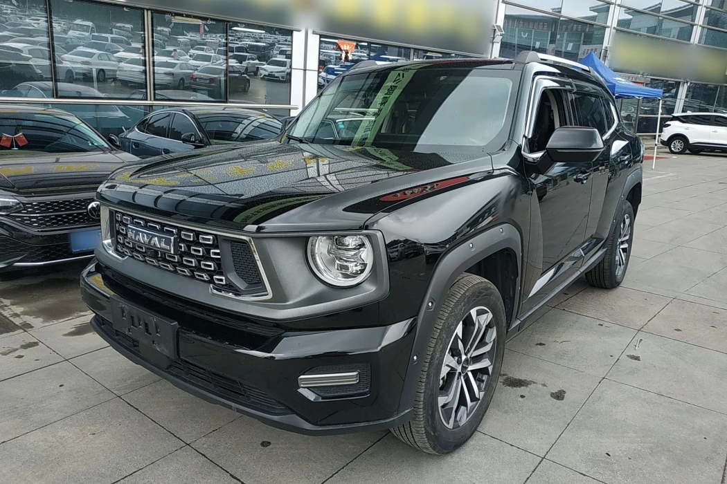 Havoc II Big Dog 2023 2.0T 2WD Tide Wild Plus