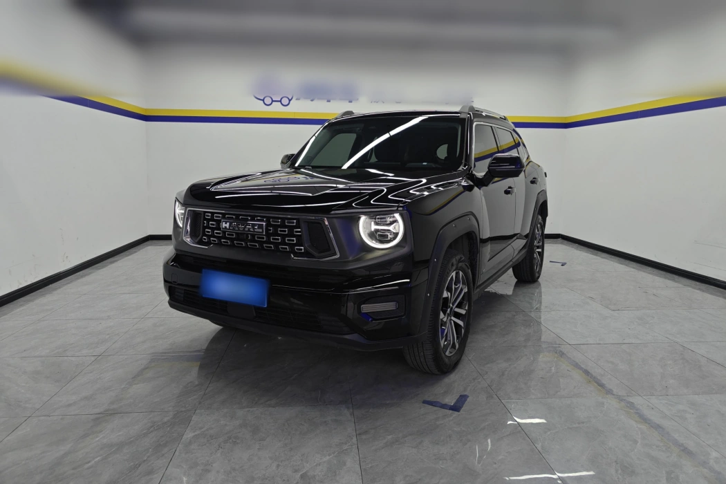 Havoc II Big Dog 2023 2.0T 4WD Tide Wild Plus