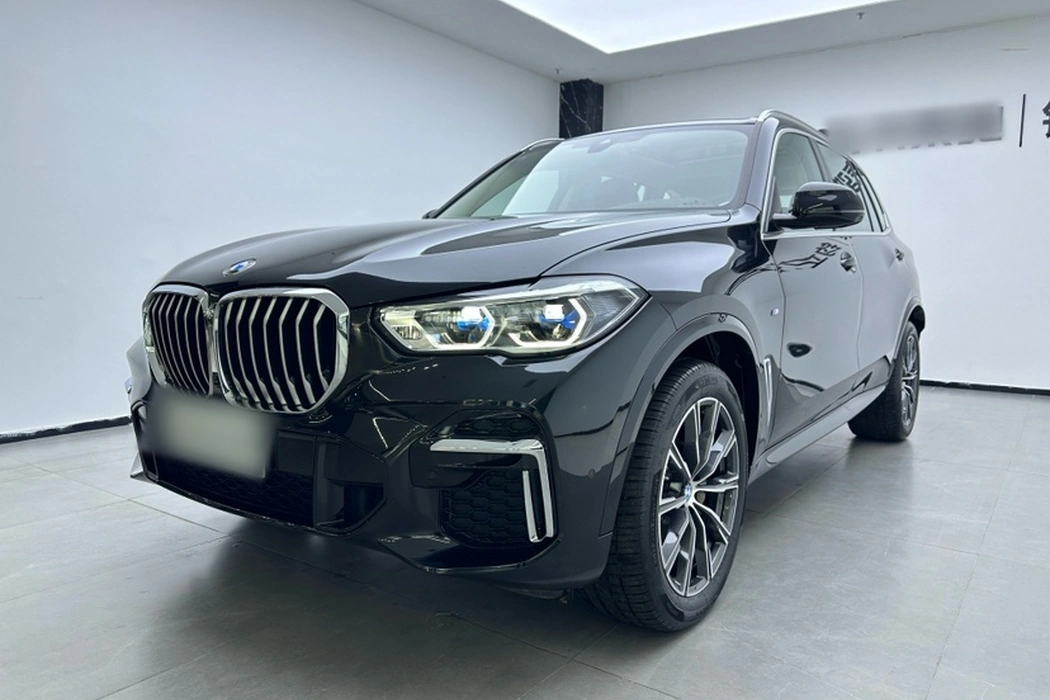 BMW X5 2022 Modified xDrive 30Li Premium M Sport Package