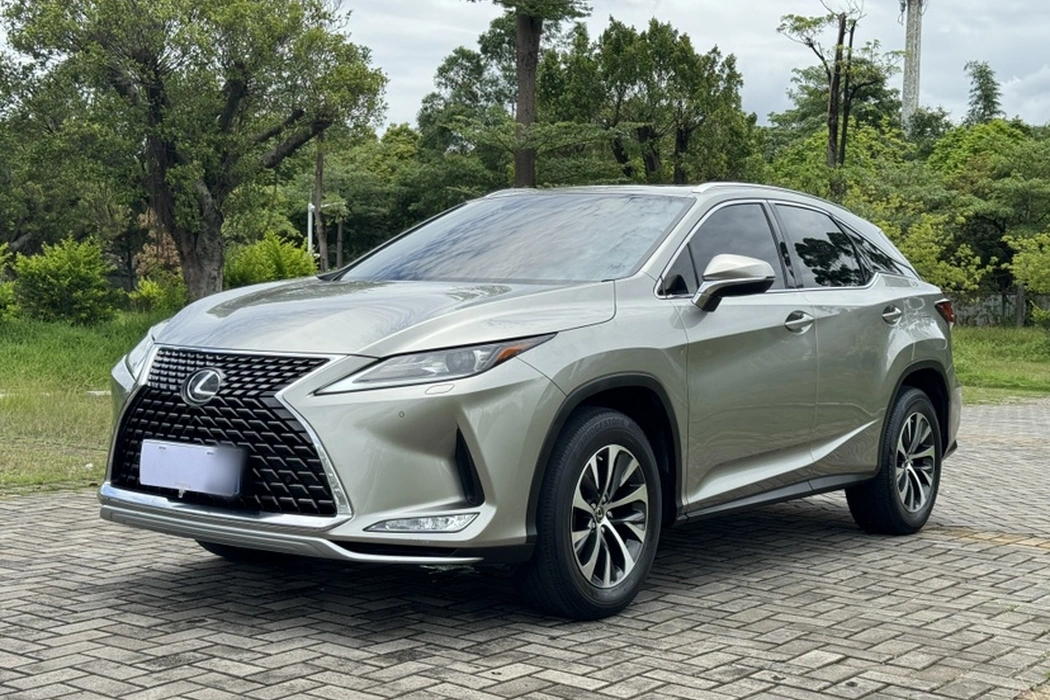 Lexus RX 2020 300 2WD Elite National VI