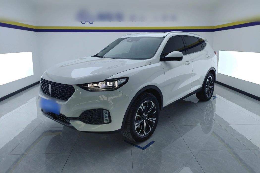 Wei brand VV6 2020 2.0T two-wheel drive smart enjoy+