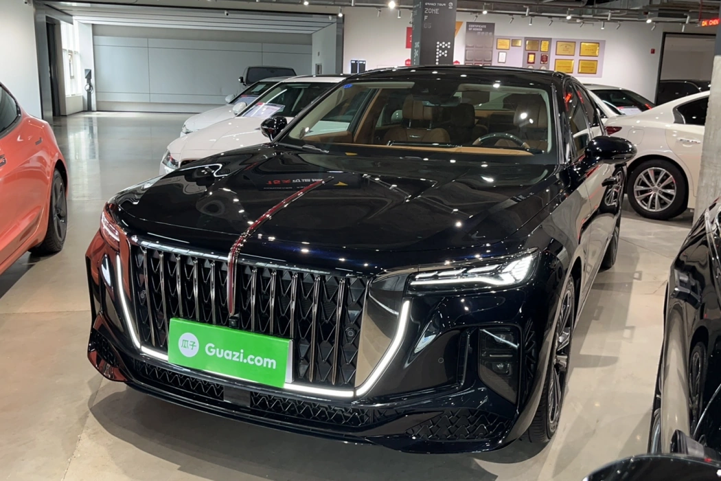 Hongqi H9 2024 2.0T Qichang Luxury Business Edition