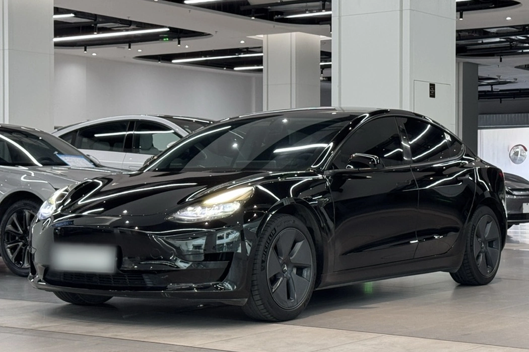 Tesla Model 3 2021 Standard Range Rear Drive Upgrade 3D6