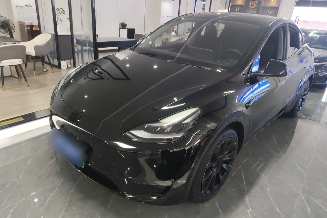 Tesla Model Y 2021 Long Range All-Wheel Drive 3D7